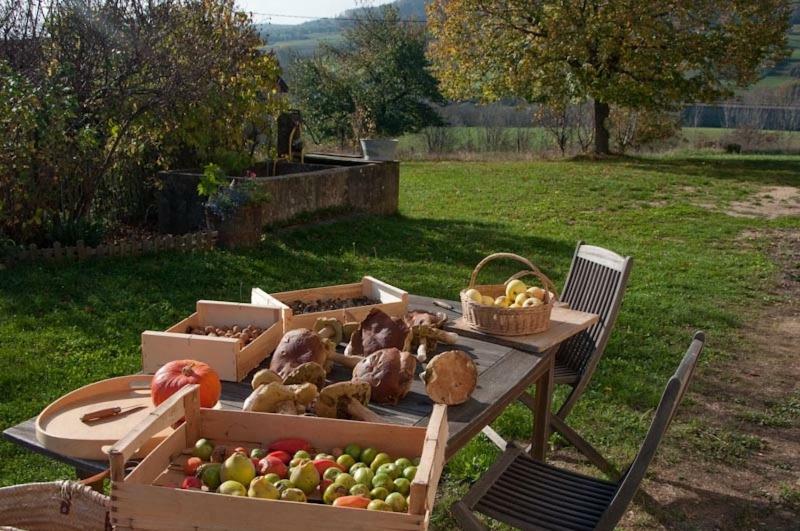 Gite La Grange Du Haut Saint-Antoine  Екстериор снимка
